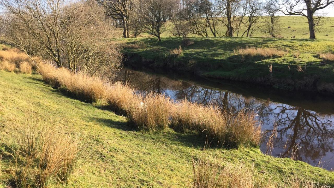 Ingledale Apartment, Ingleton, Yorkshire Dales National Park, Famous Three Peaks, Near The Lake District, Pets Are Welcome Ingleton  Exteriör bild